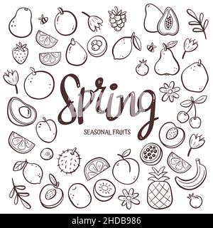 Seasonal fruits background. Hand-drawn spring fruit composition made of doodle vector icons, isolated on white background. Stock Vector