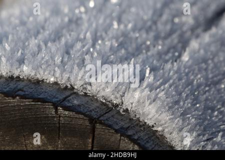 Ice crystals formed on a wooden log. Stock Photo