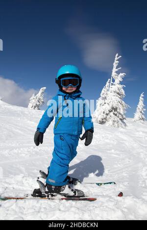 toddler boy in helmet, goggles, blue overalls stands on skis on snowy mountain slope on sunny cold winter day. Children's skiing lesson at ski school. Stock Photo
