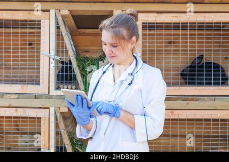 Veterinarian woman with tablet computer checking animal health status on barn ranch background. Vet doctor check up rabbit in natural eco farm. Animal care and ecological livestock farming concept Stock Photo