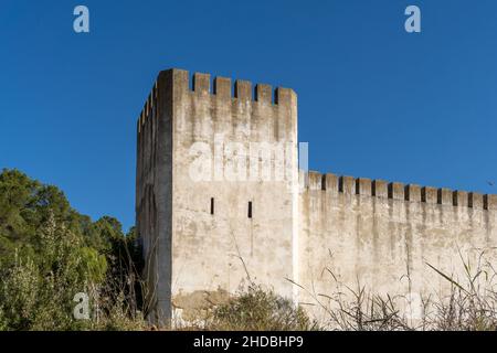 Closeup of the tower of an old castle and tree branches under cloudless sky Stock Photo