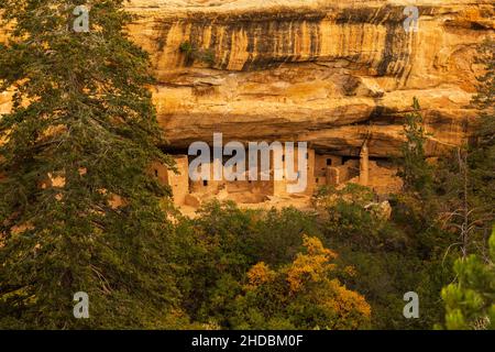 Spruce Tree House in late afternoon, Mesa Verde National Park, Colorado Stock Photo