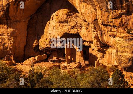 Oak Tree House in late afternoon, Mesa Verde National Park, Colorado Stock Photo
