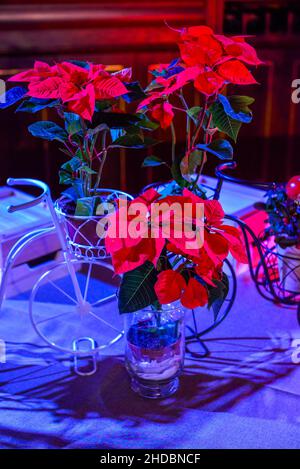 An elegant table setup in wedding reception Stock Photo
