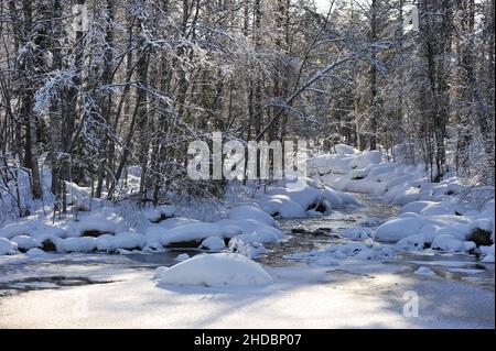 Winter scenery with snow covered trees along frozen riverbank. Stock Photo