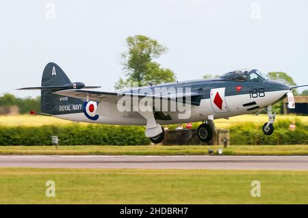 Hawker Sea Hawk WV908, 1950s classic vintage jet plane formerly with British Royal Navy, Fleet Air Arm, landing at RAF Waddington airshow Stock Photo