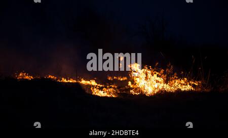 Nature on fire, night shot. Arson and fire, disaster and extreme events themes. Stock Photo