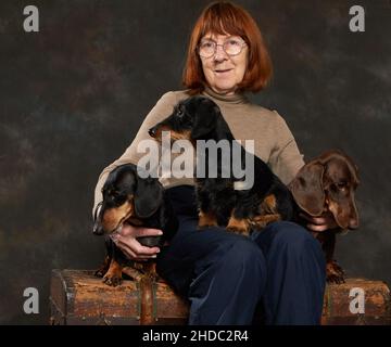 Three dachshunds of different types sit on the lap of their mistress Stock Photo