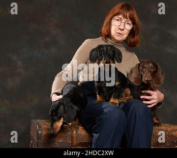 Three dachshunds of different types sit on the lap of their mistress