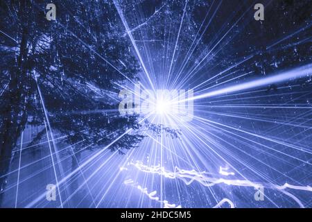 Tree's foliage against the digital sunbeams. Stock Photo