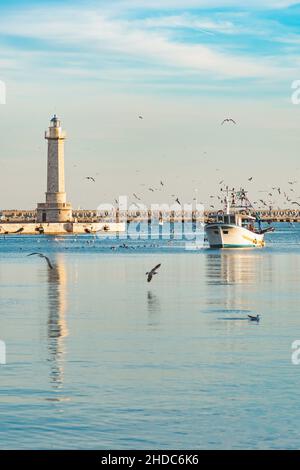 Old fishing boat returning from fishing enters the port at sunset accompanied by a flock of seagulls. With beautiful lighthouse in the background Stock Photo