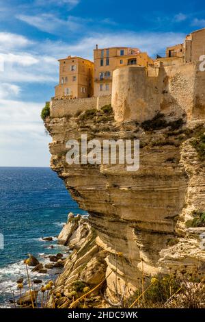 Steep coast of Bonifacio with old town on a limestone plateau, Corsica, Bonifacio, Corsica, France, Europe Stock Photo