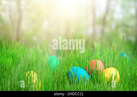 Colorful Easter eggs on green grass and defocused garden background. Copy space Stock Photo