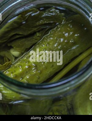 Pickled cucumbers in a glass jar close up Stock Photo