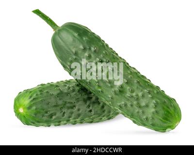 Two green isolated cucumbers with clipping path on white background. Stock Photo