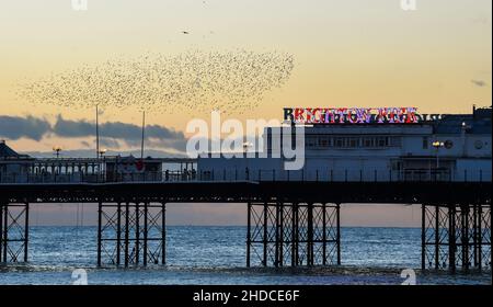 Brighton UK 5th January 2022 - A murmuration of starlings over Brighton Palace Pier at dusk this evening after a day of sun shine along the South Coast  : Credit Simon Dack / Alamy Live News Stock Photo