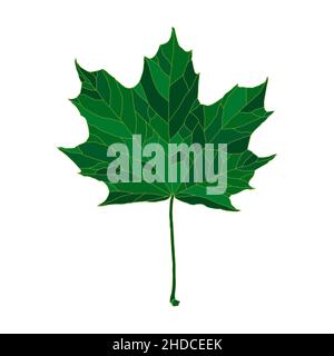 Green silhouette maple tree leaf isolated on white background. Design element for decorating. Stock Vector