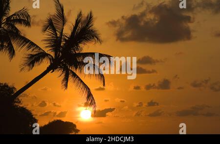 Sonnenuntergang am Traumstrand, Karibik, Stock Photo