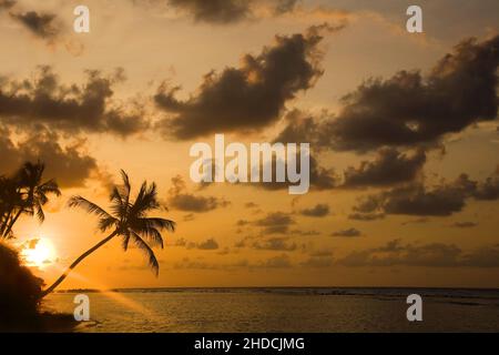 Sonnenuntergang am Traumstrand, Karibik, Stock Photo