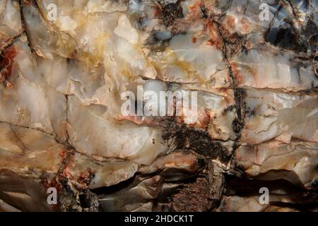 Close up of various colored crystals found in a piece of petrified wood. Close up of various colored crystals found in a piece of petrified wood. Stock Photo