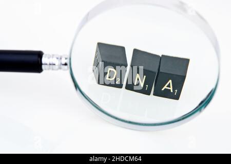 Lupe, Symbolbild, DNA, DNA unter der Lupe betrachtet, Stock Photo