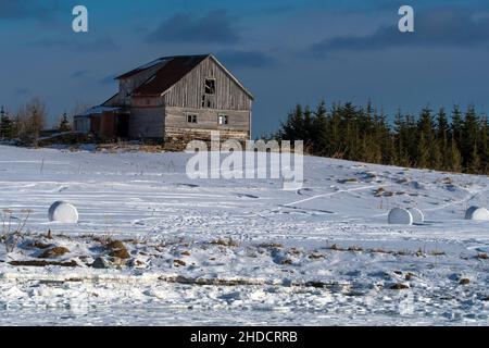 alte Scheune im Winter / old barn in winter Stock Photo