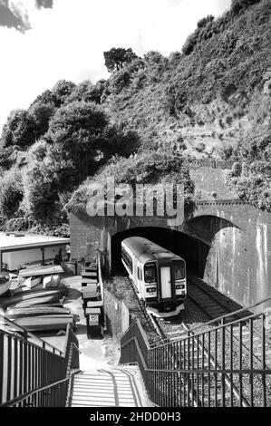 153333 at the rear of a west bound service at Dawlish. Stock Photo