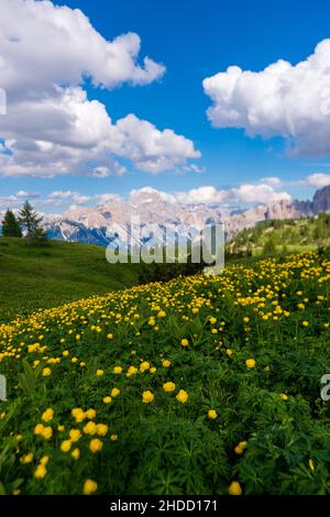 Beautiful alpine countryside. Awesome Alpine landscape with traditional huts. Amazing Nature Scenery of Dolomites Alps. Epic Scene in the mountains pl Stock Photo