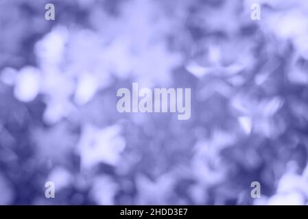Abstract blurred purple glitter background. Bright and colorful background. Stock Photo
