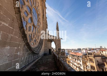 Sevilla, Spain. Closeup of the rose window of the Gothic Cathedral of Saint Mary of the See from the balcony Stock Photo