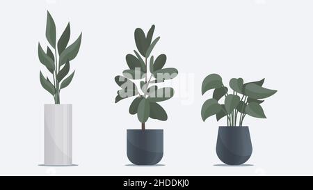 Collection of big flat plant in vase standing on floor. Office and home decoration elements Stock Vector