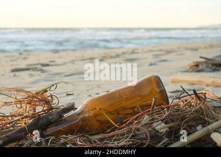 Empty glass beer bottle discarded on dirty sea ecosystem,environmental waste pollution Stock Photo