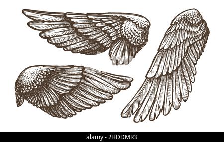 realistic wings drawing