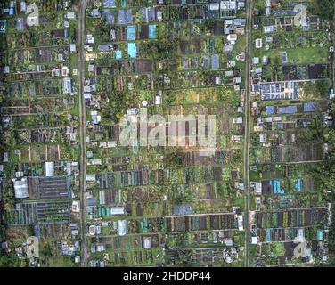 UK allotment gardens from above Stock Photo