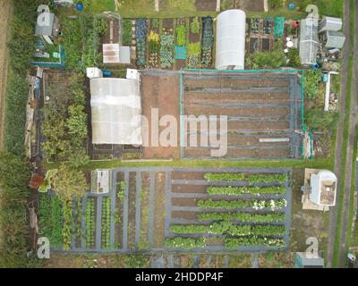 UK allotment gardens from above Stock Photo