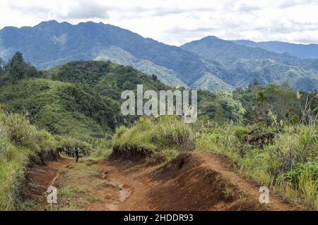 Papua New Guinea; Eastern Highlands; Goroka; Namta; Papuan is walking down a dirt road in the mountains. Papuan auf einem Schotterweg in den Bergen. Stock Photo