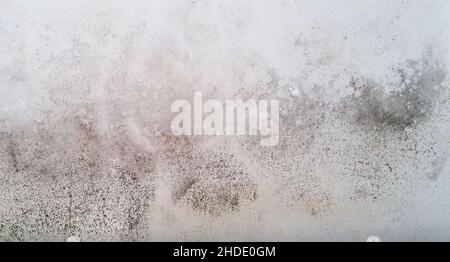 White wall with mold. Fungus on white background. Mold on white background. Stock Photo