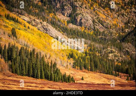 Scenic meadow view in the Colorado rocky mountains on a sunny and warm Fall day with changing aspen leaves, USA Stock Photo