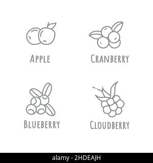 Fruit Icon Set, Vector lines, Stock Vector illustration isolated on white background. Stock Vector