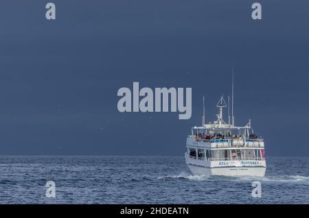 Whale-watching boat heading out into the storm, Pacific Ocean, Monterey. California. Stock Photo