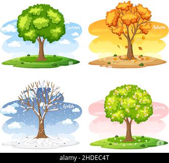 Different trees in four seasons illustration Stock Vector