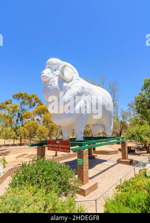 The Big Ram at the Giant Ram Tourist Park in the country town of Wagin, Western Australia, Australia Stock Photo