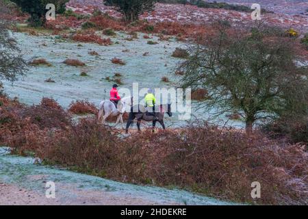 Godshill, Fordingbridge, New Forest, Hampshire, UK, 6th January 2022, Weather: A hard frost by morning with temperatures well below freezing. Horse riders traverse the frozen landscape. Credit: Paul Biggins/Alamy Live News Stock Photo