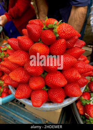 The garden strawberry is a widely grown hybrid species of the genus Fragaria, collectively known as the strawberries Stock Photo