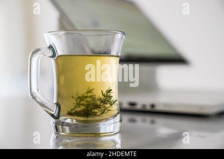Glass transparent cup with herbal tea with grass leaves on the background of a working computer. Concept of work at home and rest break during work. Stock Photo
