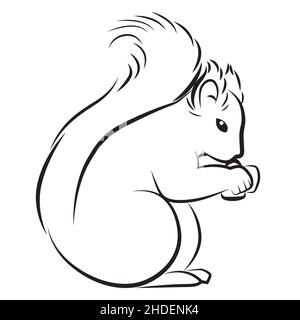 Cute squirrel with fluffy tail holding eating nut clipart lineart. Vector illustration Stock Vector