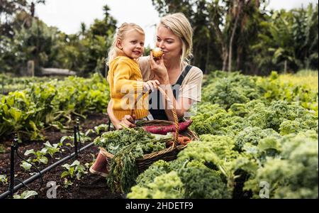 Cheerful mother and daughter gathering fresh vegetables. Happy young mother carrying her daughter and picking fresh produce in an organic garden. Self Stock Photo