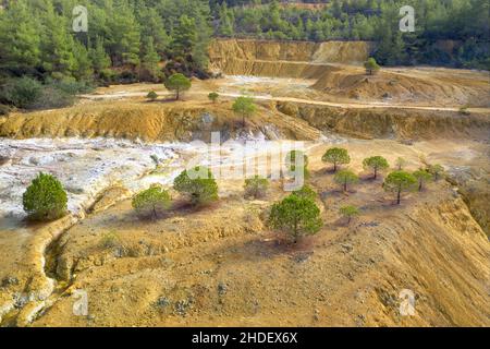 Restoration of old opencast copper mine. Young pine trees growing on old mining area near Limni, Cyprus Stock Photo