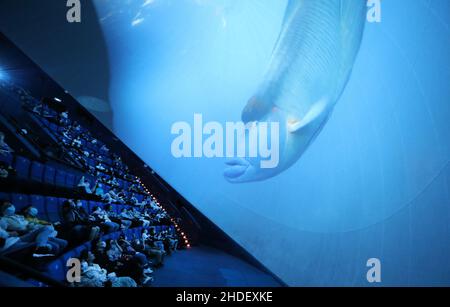 Beijing, China. 2nd May, 2021. People watch a film on popular science at the Shanghai Science and Technology Museum in east China's Shanghai, May 2, 2021. Credit: Fang Zhe/Xinhua/Alamy Live News Stock Photo