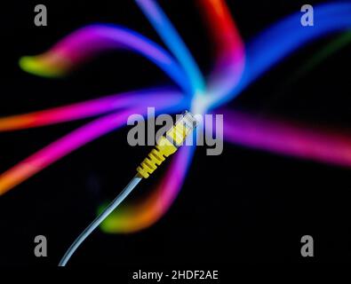 Internet cable and yellow ethernet connector in close up against a colourful background. Stock Photo